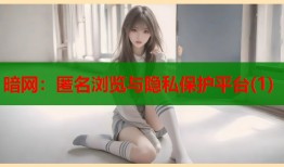 暗网：匿名浏览与隐私保护平台(1)