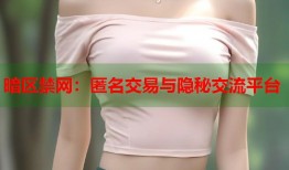 暗区禁网：匿名交易与隐秘交流平台