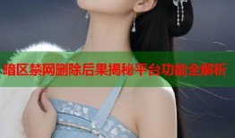 暗区禁网删除后果揭秘平台功能全解析