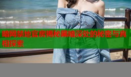 暗网禁地官房揭秘黑暗深处的秘密与真相探索
