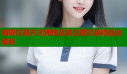 暗网交易方式揭秘及其主要交易物品全解析