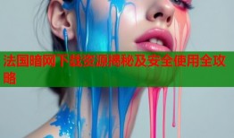 法国暗网下载资源揭秘及安全使用全攻略