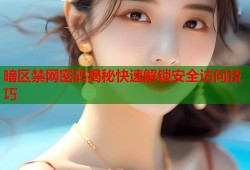 暗区禁网密码揭秘快速解锁安全访问技巧