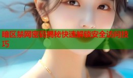 暗区禁网密码揭秘快速解锁安全访问技巧