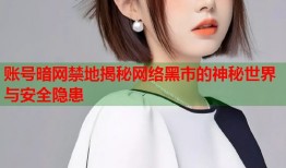 账号暗网禁地揭秘网络黑市的神秘世界与安全隐患
