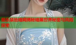 极乐禁地暗网揭秘暗黑世界秘密与风险探索