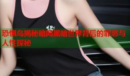 恐惧鸟揭秘暗网黑暗世界背后的罪恶与人性探秘