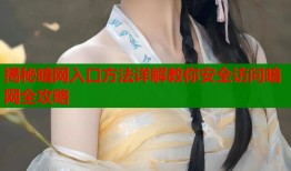 揭秘暗网入口方法详解教你安全访问暗网全攻略
