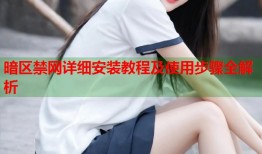 暗区禁网详细安装教程及使用步骤全解析