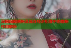 深网暗网揭秘及其在经济犯罪中的隐秘作用解析