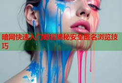 暗网快速入门教程揭秘安全匿名浏览技巧