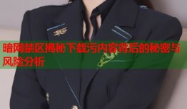 暗网禁区揭秘下载污内容背后的秘密与风险分析