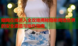 暗网在线进入全攻略揭秘隐秘网络世界的安全通道与操作指南