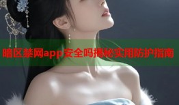 暗区禁网app安全吗揭秘实用防护指南