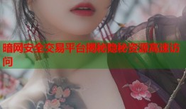 暗网安全交易平台揭秘隐秘资源高速访问