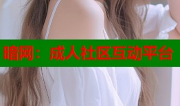 暗网：成人社区互动平台