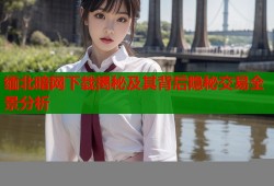 缅北暗网下载揭秘及其背后隐秘交易全景分析