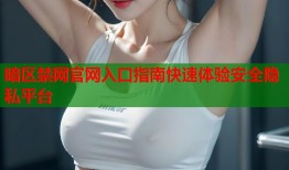 暗区禁网官网入口指南快速体验安全隐私平台