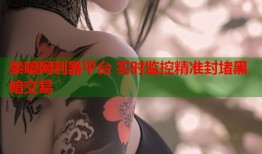 禁暗网利器平台 实时监控精准封堵黑暗交易