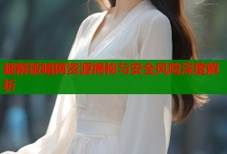 破解版暗网资源揭秘与安全风险深度解析
