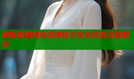 破解版暗网资源揭秘与安全风险深度解析
