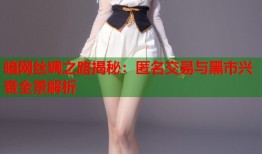 暗网丝绸之路揭秘：匿名交易与黑市兴衰全景解析