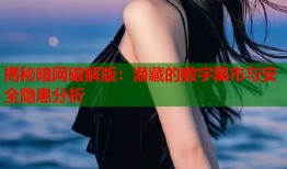 揭秘暗网破解版：潜藏的数字黑市与安全隐患分析