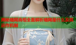 揭秘暗网真相全面解析暗网是什么及其运作机制