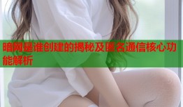 暗网是谁创建的揭秘及匿名通信核心功能解析