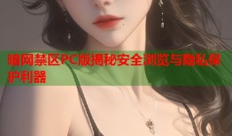 暗网禁区PC版揭秘安全浏览与隐私保护利器