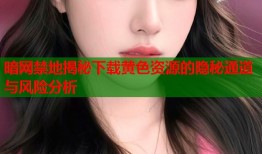 暗网禁地揭秘下载黄色资源的隐秘通道与风险分析
