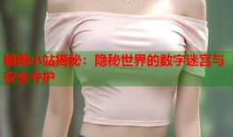 暗网小站揭秘：隐秘世界的数字迷宫与安全守护