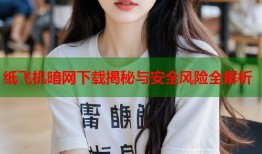 纸飞机暗网下载揭秘与安全风险全解析