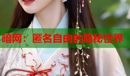 暗网：匿名自由的隐秘世界