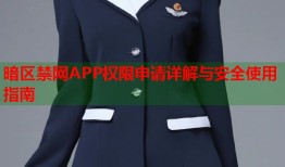 暗区禁网APP权限申请详解与安全使用指南
