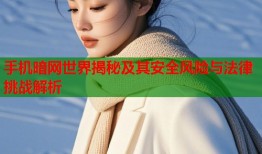 手机暗网世界揭秘及其安全风险与法律挑战解析