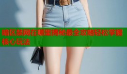 暗区禁网在哪里揭秘最全攻略轻松掌握核心玩法