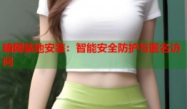 暗网禁地安装：智能安全防护与匿名访问