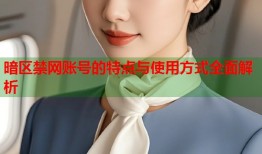 暗区禁网账号的特点与使用方式全面解析
