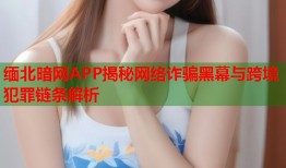 缅北暗网APP揭秘网络诈骗黑幕与跨境犯罪链条解析