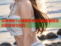 深度揭秘Tor暗网世界探索隐秘网络背后的真相与风险