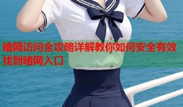 暗网访问全攻略详解教你如何安全有效找到暗网入口