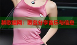 禁歌暗网：匿名分享音乐与信息