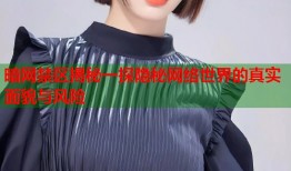 暗网禁区揭秘一探隐秘网络世界的真实面貌与风险
