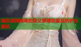 暗区禁网病毒的定义原理危害及防护全解析