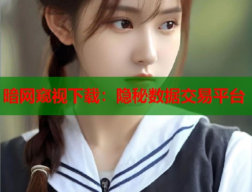 暗网窥视下载：隐秘数据交易平台