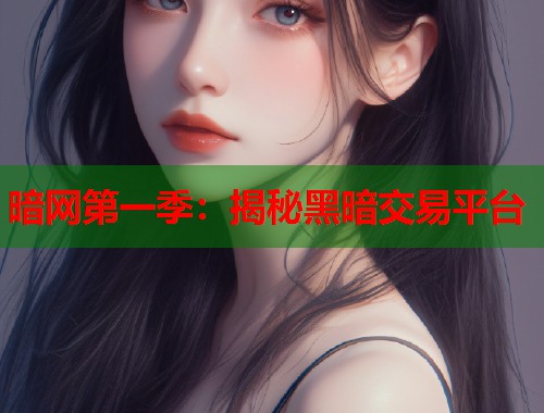 暗网第一季：揭秘黑暗交易平台