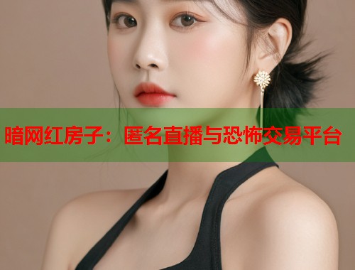 暗网红房子：匿名直播与恐怖交易平台