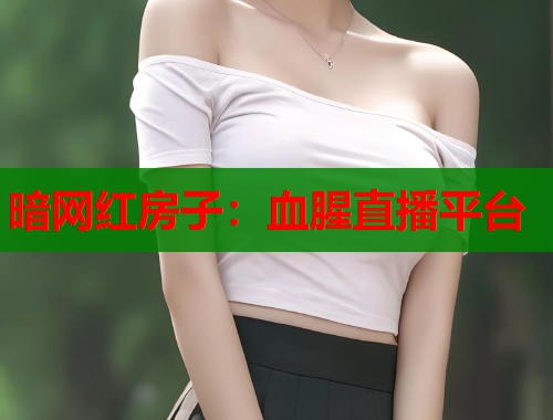 暗网红房子：血腥直播平台