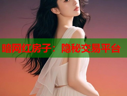 暗网红房子：隐秘交易平台